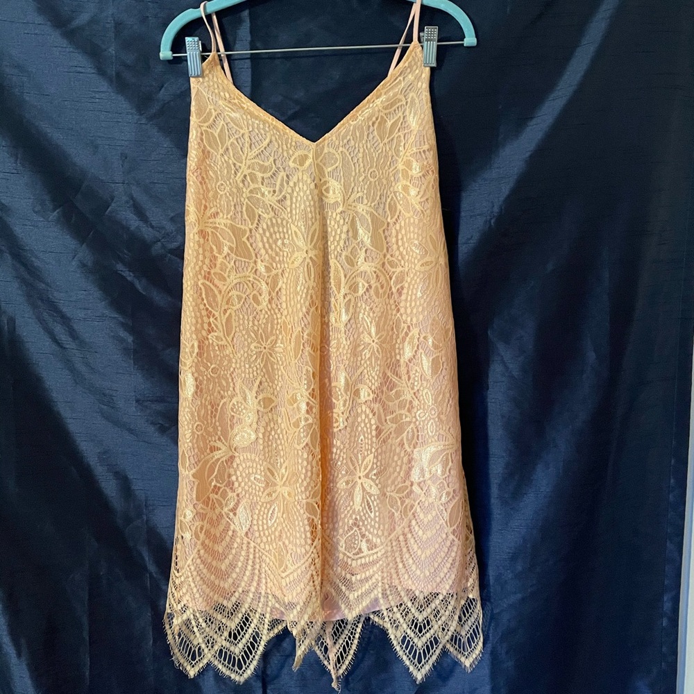 LUSH Lace Dress